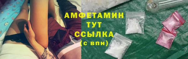 шишки Богородицк