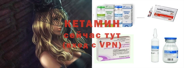 шишки Богородицк