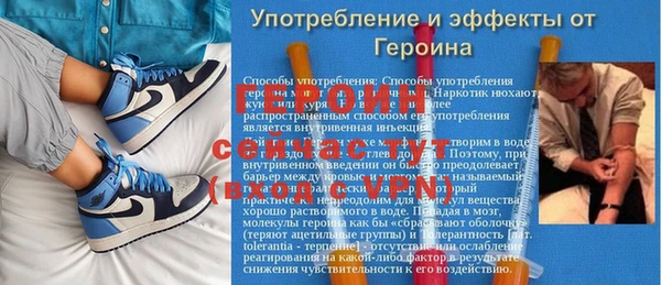 шишки Богородицк