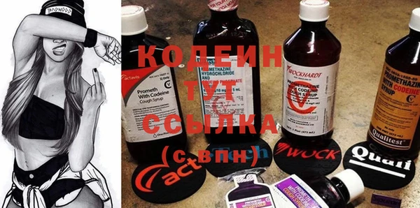 шишки Богородицк