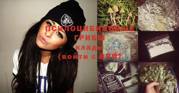 дурь Богданович