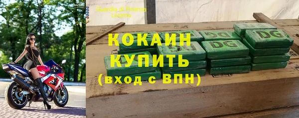 шишки Богородицк