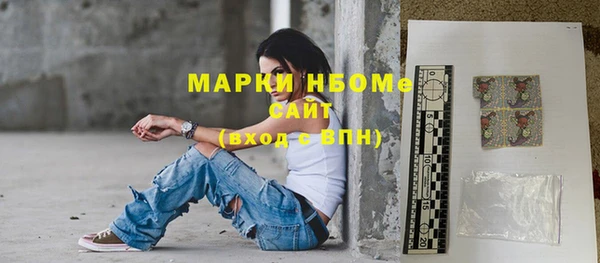 шишки Богородицк